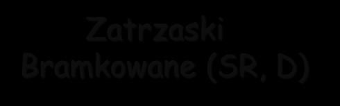 Rodzaje przerzutników Przerzutniki Asynchroniczne Zatrzaski (SR) Synchroniczne