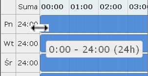 Operator musi podać godziny czasu pracy harmonogramu (graficznie lub klasycznie). Po wprowadzeniu definicji harmonogramu wyświetlone zostanie okno Podsumowania, które należy zatwierdzić.