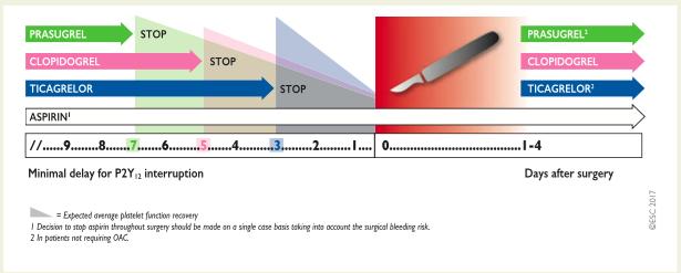U chorych przyjmujących inhibitor P2Y 12, którzy wymagają operacji