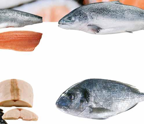 ofercie również tuńczyk polędwica sashimi artykuł