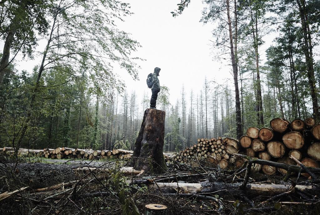 Puszcza Białowieska raport z