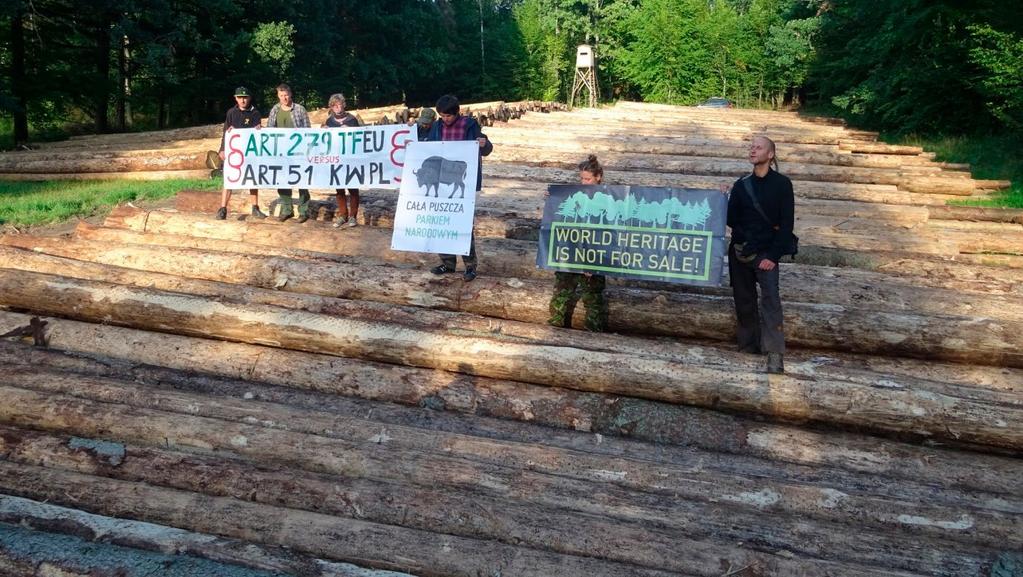 Jest ona dodatkowym zaburzeniem w ekosystemie, które może działać wzmacniająco na gradację kornika drukarza. 39 38 KONARZEWSKI M., ZABIELSKI R., KOWALCZYK R., DUSZYŃ- SKI J.