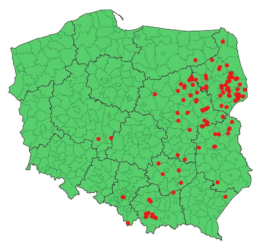 Gdyby faktycznie chodziło o bezpieczeństwo publiczne, zagrażające ludziom drzewa byłyby ścinane i pozostawiane do naturalnego rozkładu, tak jak działo się to m.in. w rezerwatach przyrody w Puszczy Białowieskiej.