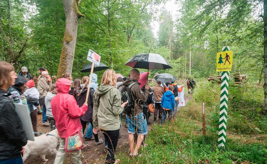 PUSZCZA BIAŁOWIESKA RAPORT Z DEWASTACJI Wyniki społecznej kontroli działalności Lasów Państwowych w Puszczy Białowieskiej w 2017 roku 35 Dlaczego niepożądana?