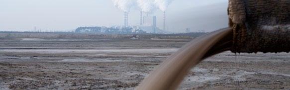 Co zagraża zapylaczom? Zanieczyszczenie środowiska Od rewolucji przemysłowej w XIX wieku zanieczyszczenie środowiska stało się zjawiskiem globalnym.