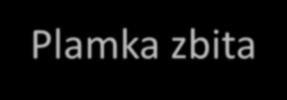 Tętniczka odprowadzająca Plamka zbita Kanalik dalszy Światło torebki Bowmana