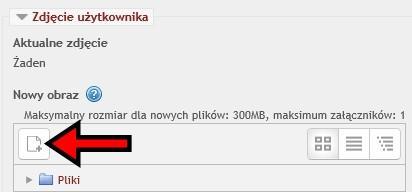 Następnie przeciągamy kursorem nasze zdjęcie z zasobów komputera do pola oznaczonego na ekranie pionową, niebieską strzałką.