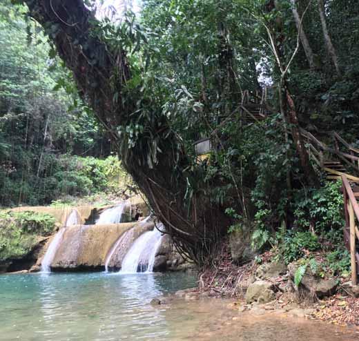 YS Falls Naturalne wodospady, które tworzy 7 połączonych ze sobą kaskad na krystalicznie czystej rzece wijącej się wśród niezliczonych gatunków drzew, krzewów i pnączy.