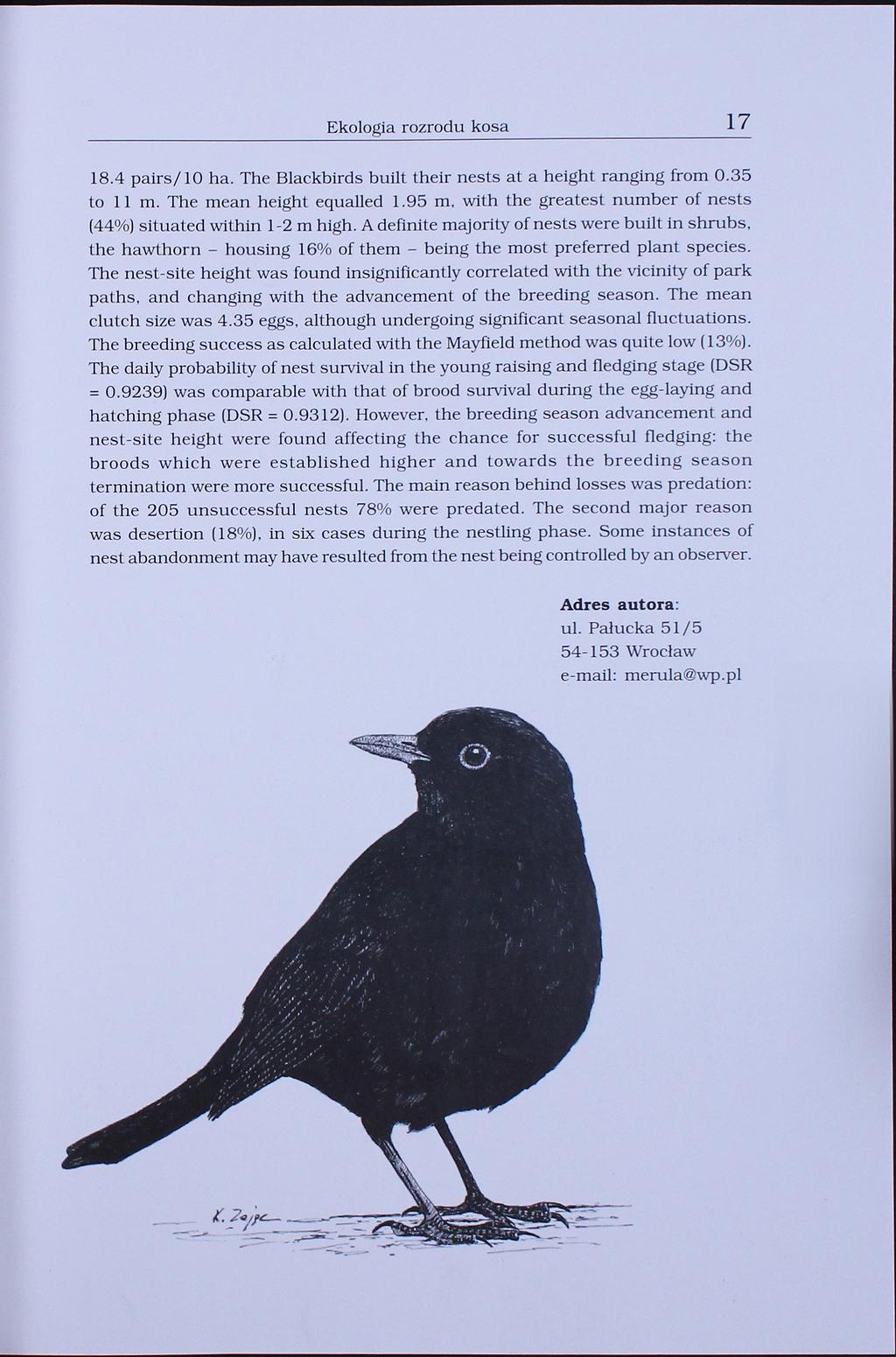 Ekologia rozrodu kosa 17 18.4 pairs/10 ha. The Blackbirds built their nests at a height ranging from 0.35 to 11 m. The mean height equalled 1.