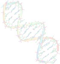 Ustalenie struktury przestrzennej DNA
