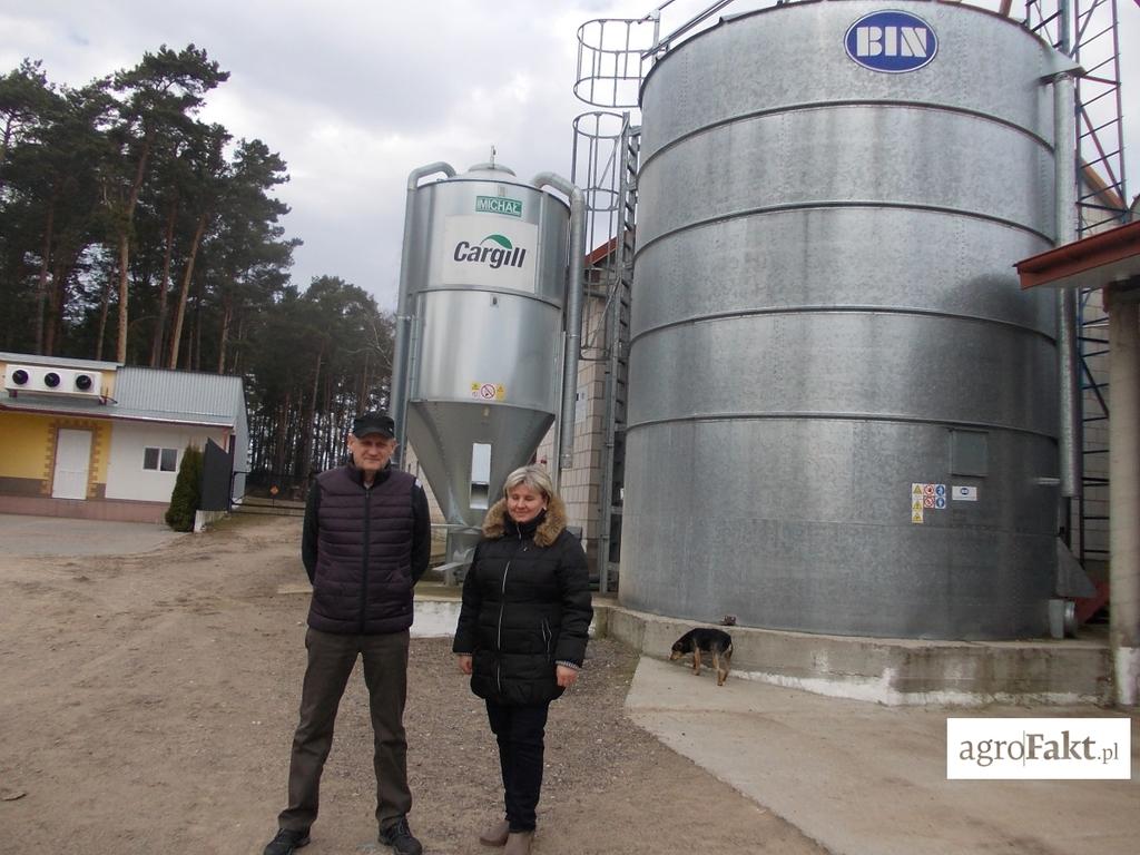 .pl https://www..pl Jedną z inwestycji w gospodarstwie państwa Dziekońskich było postawienie silosów na pasze (przygotowywane również w gospodarstwie). Jakie są zalety tuczu świń w cyklu otwartym?