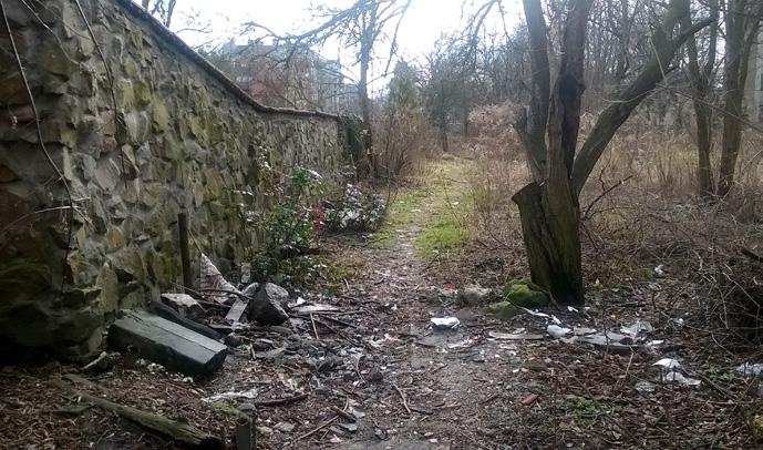 W trakcie oględzin wybranych inwestycji stwierdzono, że zostały one wykonane zgodnie z projektami, w tym w zakresie nasadzeń drzew, krzewów i innych roślin.