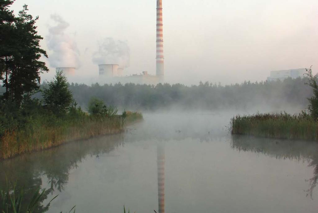 A prawdopodobieństwo pojawienia się zagrożenia (dla aspektów potencjalnych) lub ryzyko przekroczenia wartości granicznych (dla aspektów rzeczywistych) im bardziej prawdopodobne jest wystąpienie