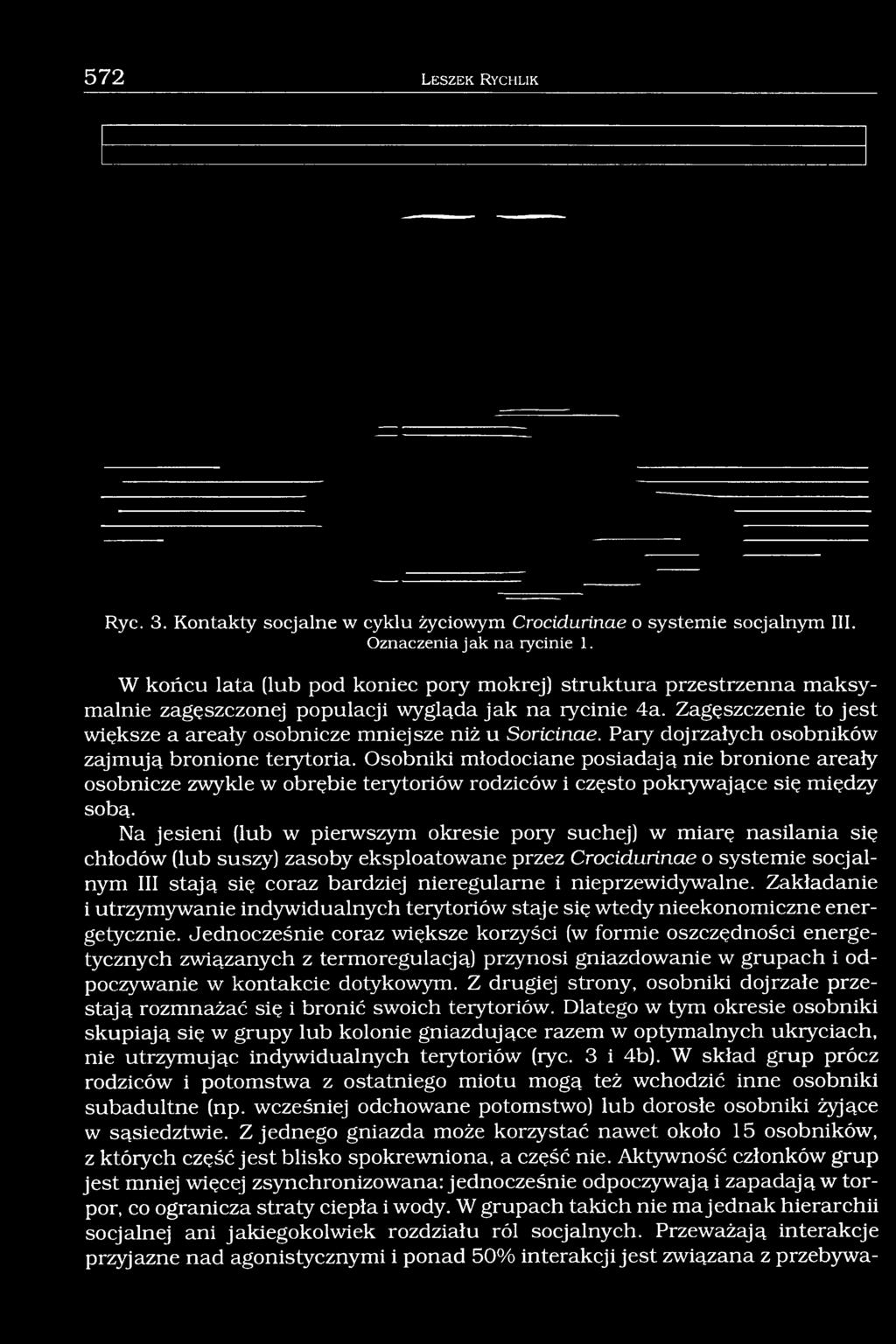 Paiy dojrzałych osobników zajmują bronione terytoria. Osobniki młodociane posiadają nie bronione areały osobnicze zwykle w obrębie terytoriów rodziców i często pokrywające się między sobą.