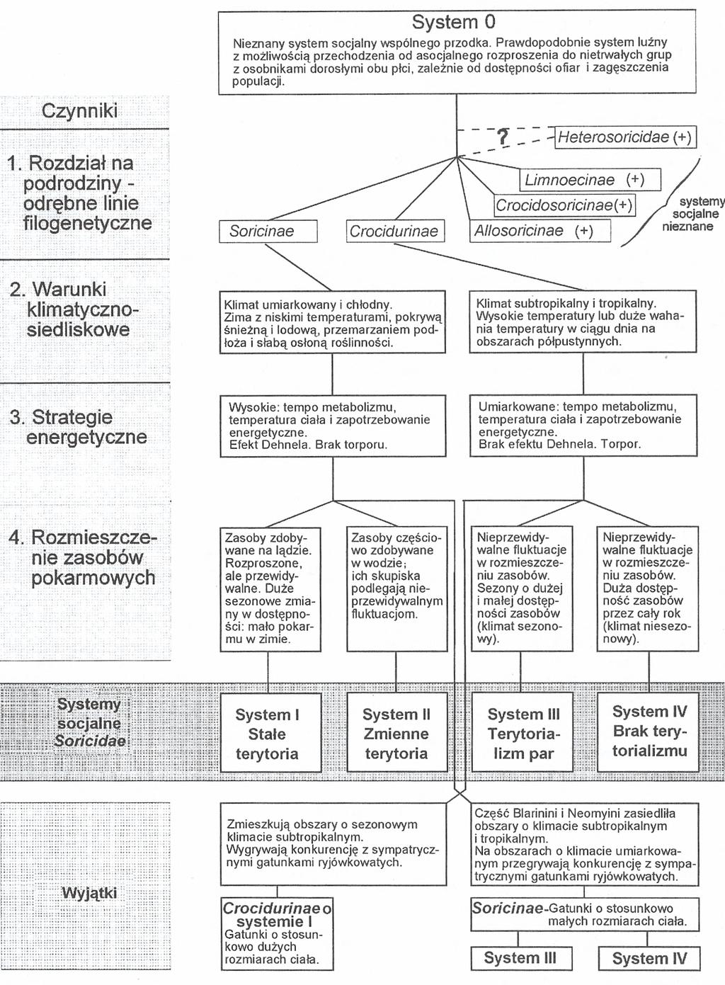 Wysokie temperatury lub duże wahania temperatury w ciągu dnia na obszarach półpustynnych. 3. Strategie energetyczne Wysokie: tempo metabolizmu, temperatura ciała i zapotrzebowanie energetyczne.