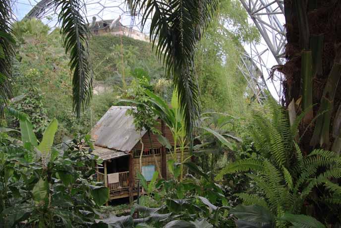 In the Mediterranean biome visitors can take a walk among citrus or olive trees, grapevines and aromatic herbs located under the smaller dome (Fig. 12). It is 135 meters long abd covers some 0.