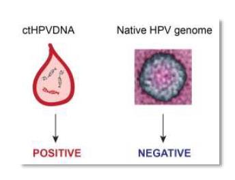 Plasma Circulating Tumor HPV DNA for the Surveillance of Cancer Recurrence in HPV-associated