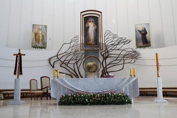 Święto Miłosierdzia ma najwyższą rangę pomiędzy wszystkimi formami kultu Miłosierdzia Bożego ze względu na wielkość obietnic i miejsce w liturgii Kościoła.