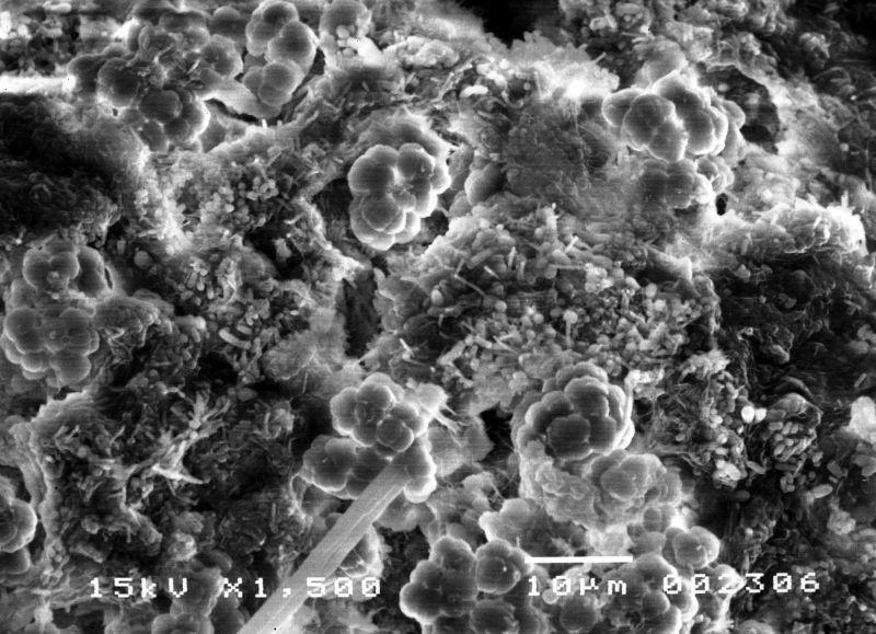 MBS -MULTI BIO SYSTEM Bakterie te osiedlają się na powierzchni kształtek tworząc tzw.