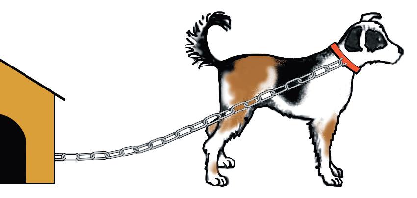 Więzy 44 Łańcuch wiążący psa z budą stanowi więzy