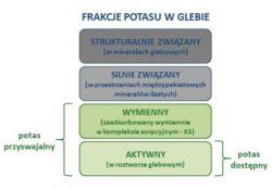 .pl https://www..pl Całkowite zasoby potasu w glebie są względnie duże, lecz nie takie same w różnych typach gleb. Składnik ten jest bowiem bardzo powszechny w minerałach glebowych.