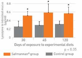 Badania Przeprowadzone zostały doświadczenia mające na celu ocenę wpływu suplementacji produktu Safmannan na odporność i przeżywalność karpi (Phileo Lesafrre Animal Care, Francja, 2016).