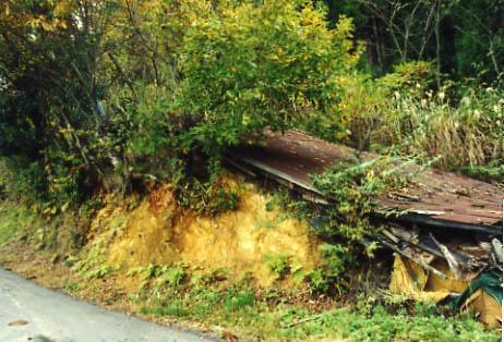 Proces ten stał się szczególnie widoczny na początku okresu Meiji, kiedy wraz z radykalnymi zmianami i zachwytem Zachodem, przy jednoczesnym zmniejszającym się zainteresowaniu kulturą rodzimą,