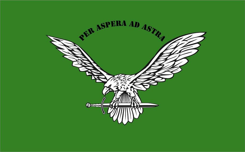 Załącznik 3 Flaga, godło i herb Uczelni Flaga Flaga Wyższej Szkoły Oficerskiej Wojsk Lądowych imienia