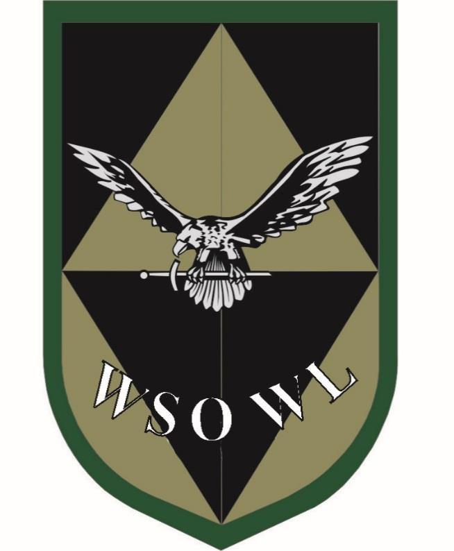 Wersja na mundur wyjściowy przedstawia widok: ciemnozielonej tarczy, w którą wkomponowano barwne symbole rodzajów wojsk.