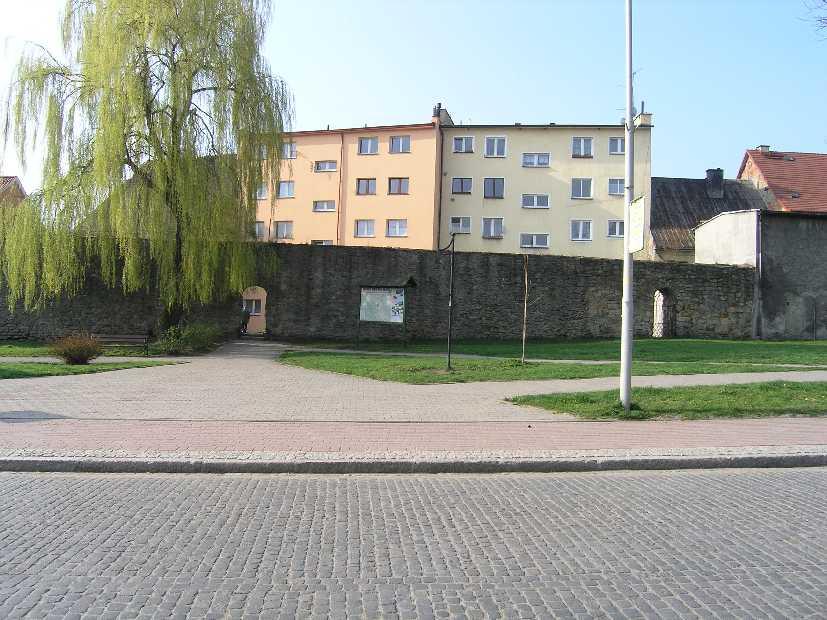 Fot. 5.