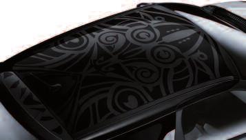 KOLOR ZEWNĘTRZNY PERSONALIZACJA URBAN TRIBE ZEBRA PERLE ONDE NADWOZIE DACH KOD KOLORU XI03 XI10 XI13 (ND dla poziomu Chic)