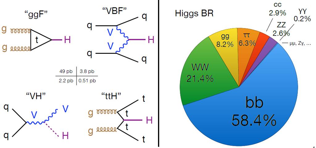 Cząstka Higgsa w zderzeniach pp w LHC Bogata sygnatura