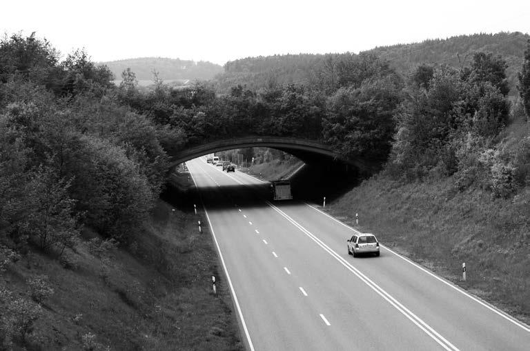 170 Rafał T. Kurek, Radosław Ślusarczyk Fot. 3. Most krajobrazowy Hirschweg (droga B31n, Niemcy) wybudowany w 1992 r.
