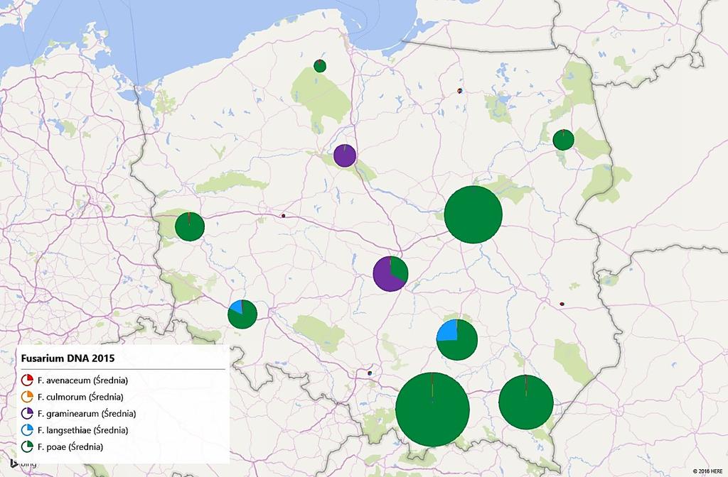 gatunków Fusarium w roku 2014 Średnio: 246 pg DNA Fusarium na 1 mg DNA pszenicy Rysunek