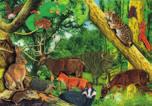 Na obrazku z puzzli widoczni są przedstawiciele różnych grup ssaków leśnych: nietoperze (nocek i borowiec wielki), gryzonie (wiewiórka, smużka i