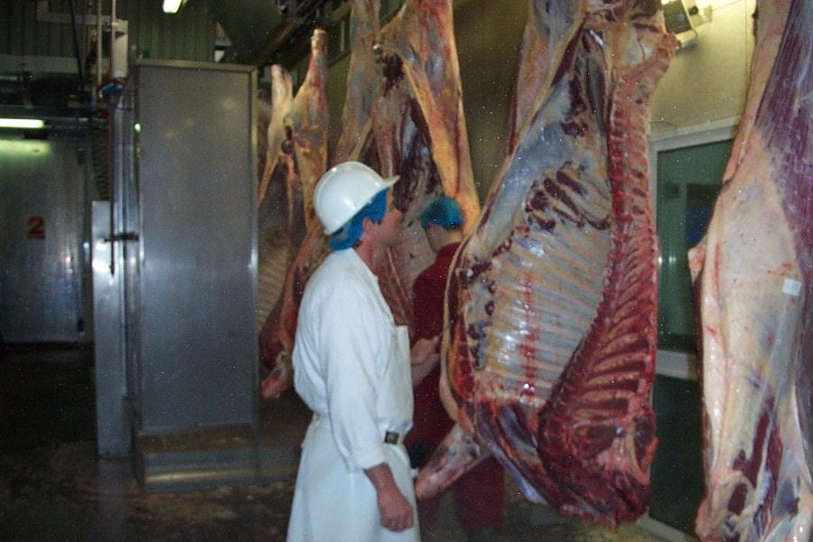 Źródła UPPZ Zakłady mięsne i rzeźnie wytwarzają
