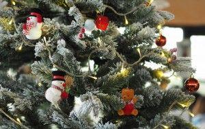 .pl https://www..pl Pierwsze choinki pojawiły się w Polsce w XIX w. i to głównie w miastach. Dziś trudno wyobrazić sobie Święta Bożego Narodzenia bez choinki.