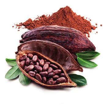 Starannie wyselekcjonowane kakao z cytrusową nutą.