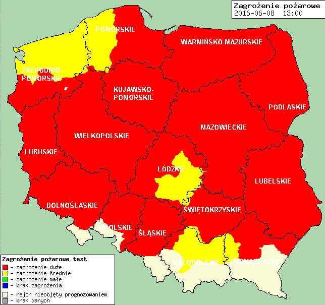 pożarowe w lasach