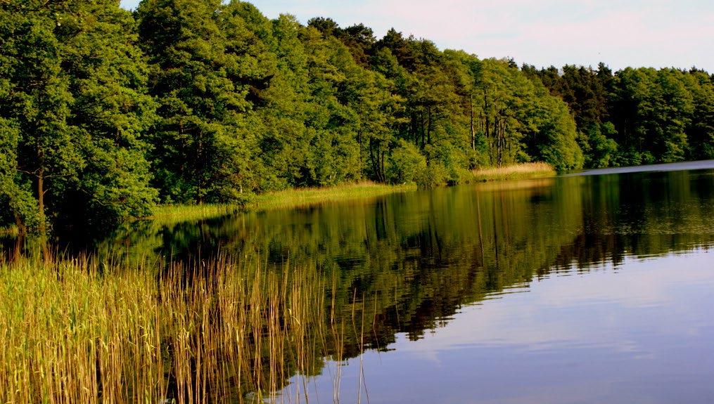 O nas Stowarzyszenie Lokalna Grupa Działania Dorzecza Zgłowiączki (LGD) powstało w 2007 roku. Pod względem administracyjnym obszar LGD składa się z całego powiatu włocławskiego.