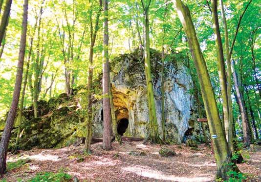 Jaskinia Ostrężnicka Tajemniczy świat jaskiń Na terenie gminy występuje ponad 35 jaskiń, grot i schronisk skalnych. Wśród nich są m.in. jaskinie Wierna (Ostrężnik/dł. 1027 m, gł.