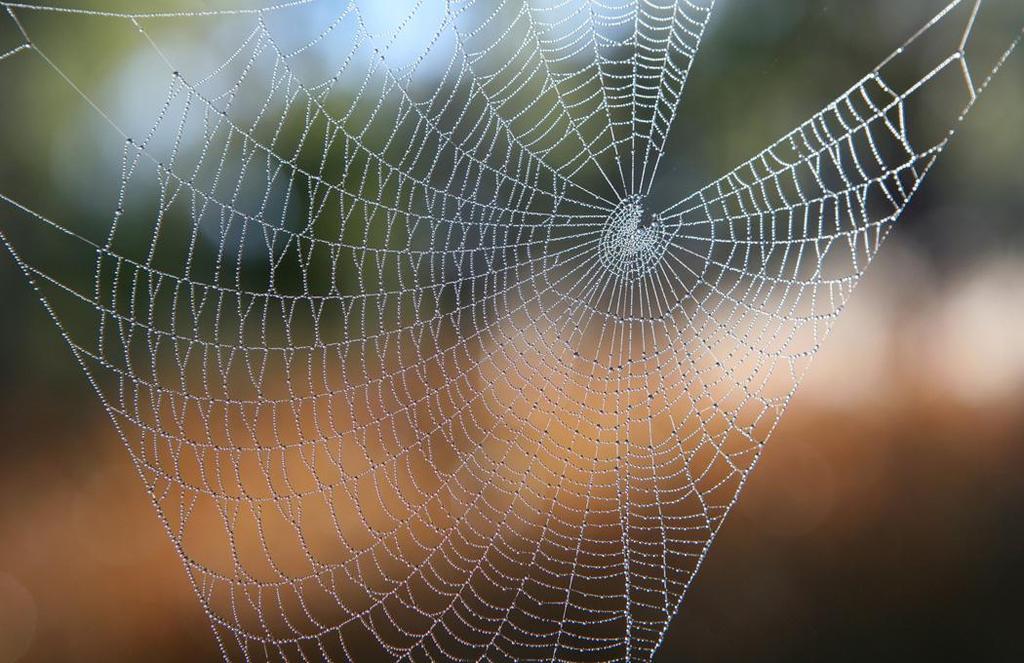 POZYCJA POLSKICH NAUK MATERIAŁOWYCH NA