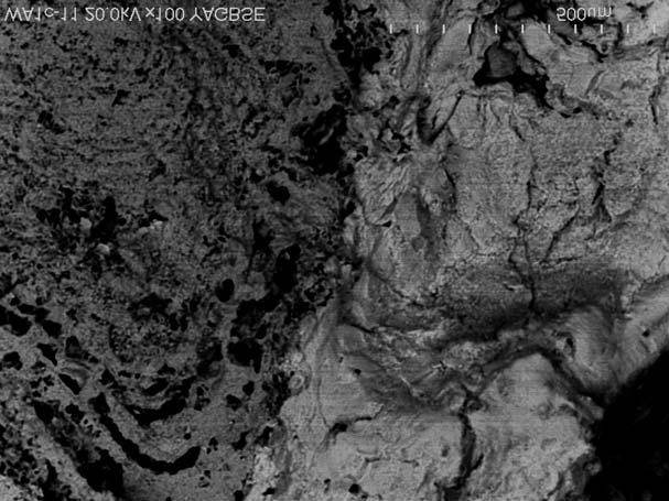 322. Malinowski, Z. Saw³owicz & J. Przyby³o Fig. 11.