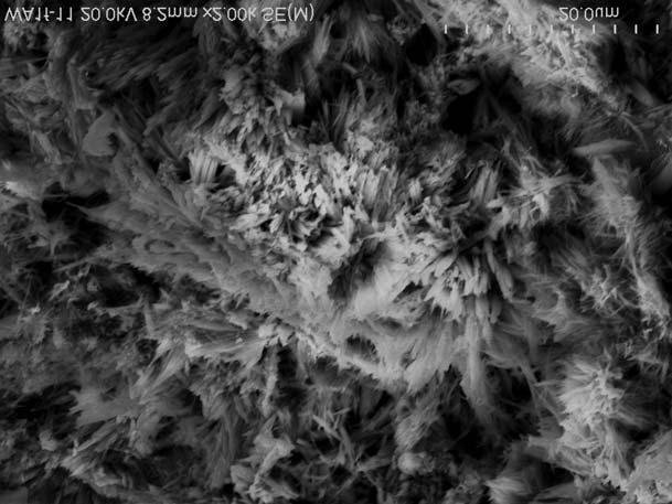 Spherical forms built of needle-shape minerals in B 2 sublayer Fig. 14.