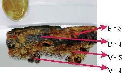 Mineralogiczno-geochemiczna charakterystyka produktów korozji elaza... 317 Fig. 4.