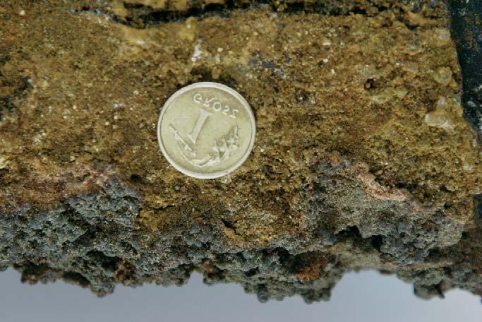 318. Malinowski, Z. Saw³owicz & J. Przyby³o Fig. 6.