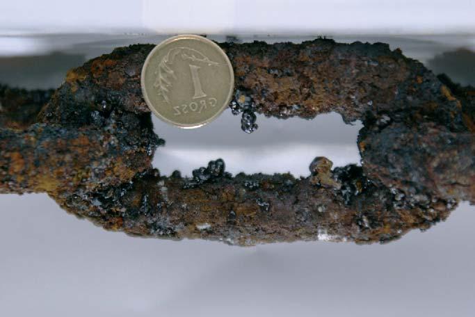 A 2 sublayer of light brown colour Fig. 7.