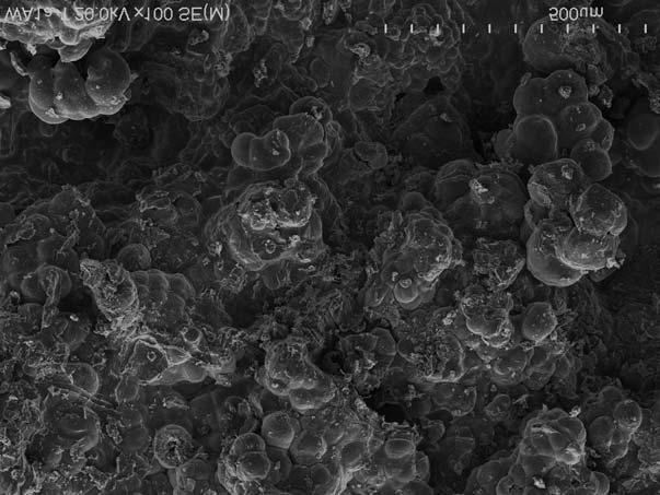 Mineralogiczno-geochemiczna charakterystyka produktów korozji elaza... 319 Warstwê wewnêtrzn¹ B ze wzglêdu na zabarwienie mo na podzieliæ na dwie podwarstwy: czarn¹ B 1 oraz pomarañczow¹ B 2.