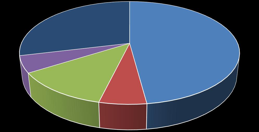 Akcjonariusze posiadający poniżej 5% udziału w ogólnej liczbie głosów 28,82% DSA FG SA 47,92% Altus TFI S.A. 5,25% Quercus TFI S.A. 12,18% Andrzej Dadełło 5,83% Struktura akcjonariatu na dzień 31