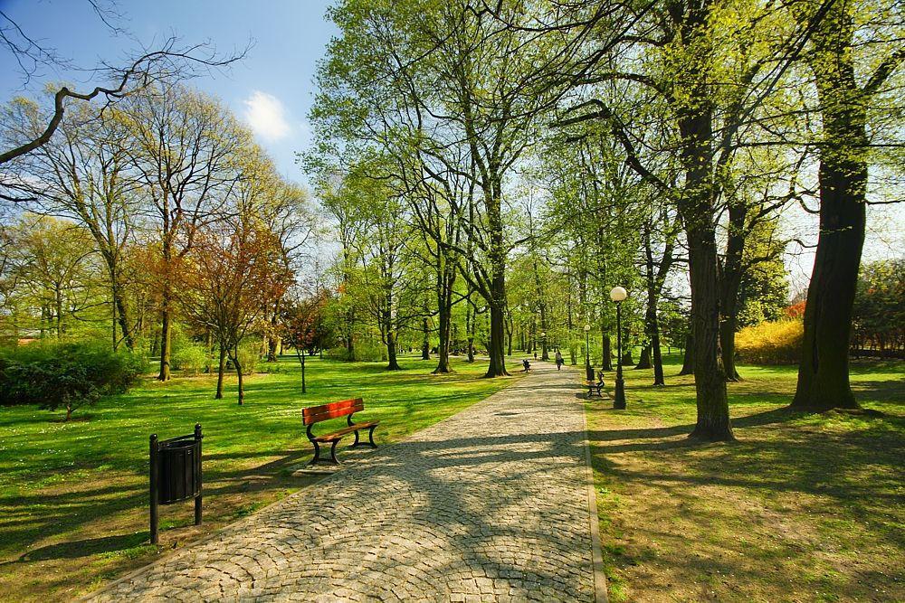 Przekrój nawierzchni utwardzonej gliną w mniejszych parkach z powodzeniem można również zastosować tzw pozbruk lub kostkę brukową z kamieni